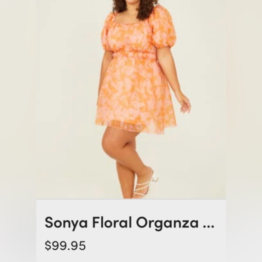 Sonya Floral Organza puff sleeve mini dress